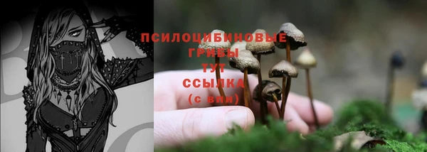 прущая мука Белоозёрский