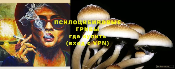 прущая мука Белоозёрский